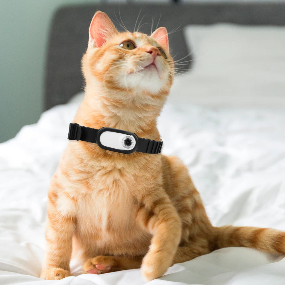 HD 1080P Collar Camera with Video Records For Pets